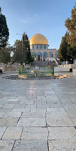 Oh hey that's Palestine again!