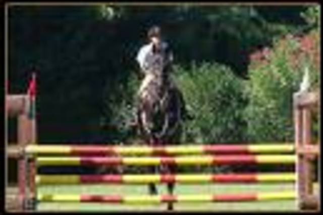 Equitación: Obtuve el primer lugar en salto de obstáculos