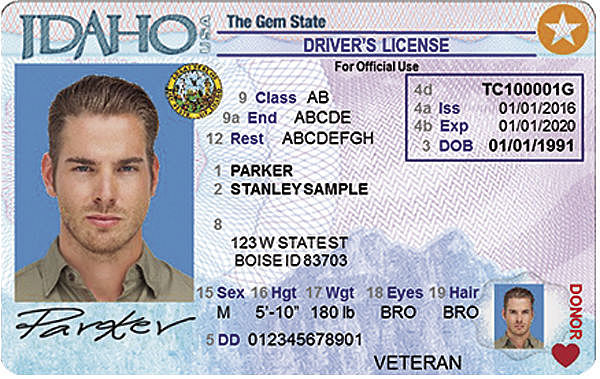 Drivers Licenses