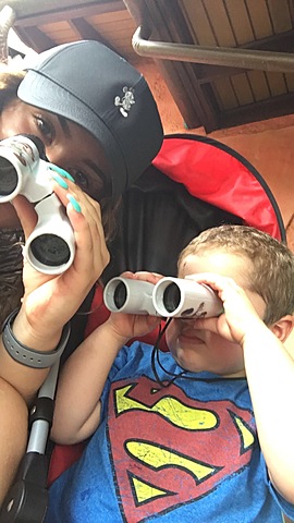 My Baby Brother's Birth