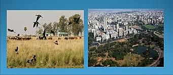 La escuela rural y la urbana