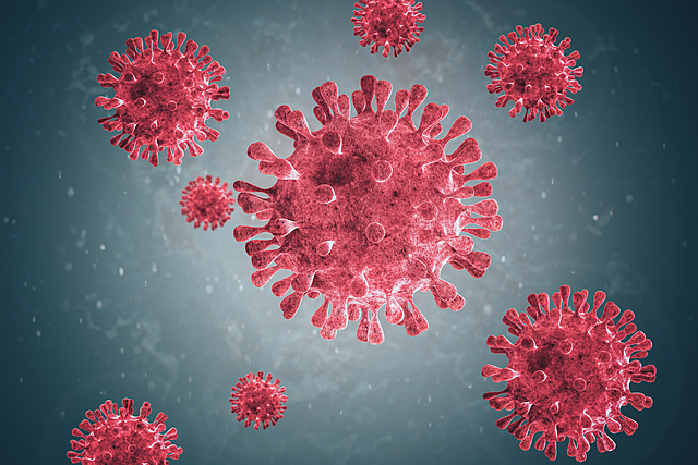 Le génome séquencé du nouveau coronavirus est publié