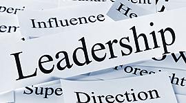 Timeline: LIDERAZGO II