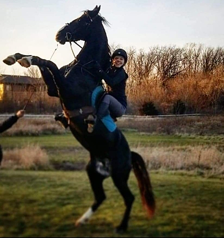 Began working with Faro