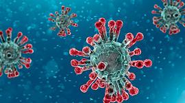 Timeline: coronavirus