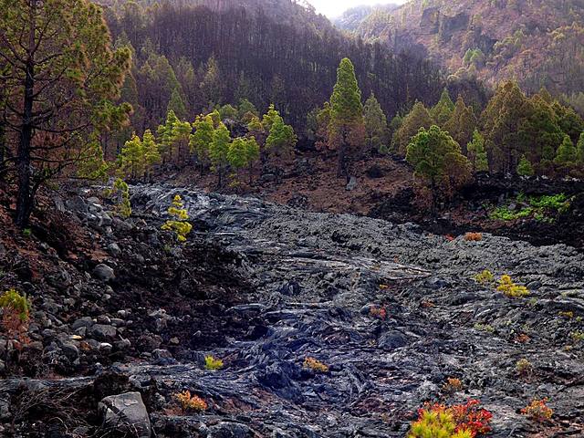 Volcanes Hoyo Negro, Duraznero, Llano del Banco
