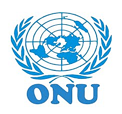 Fundación Organización Naciones Unidas