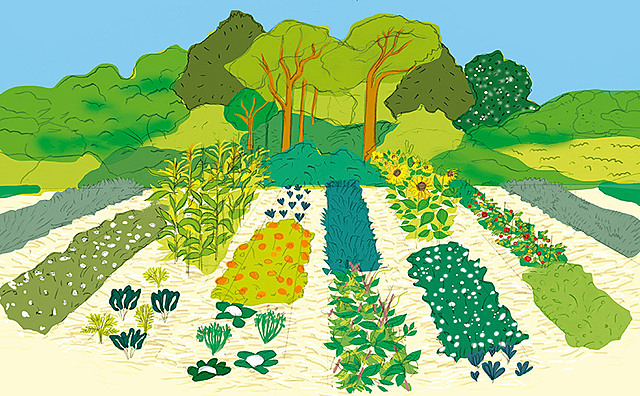 Un análisis histórico cuantitativo y cualitativo de la disciplina científica de la agroecología (Wezel y Soldat)