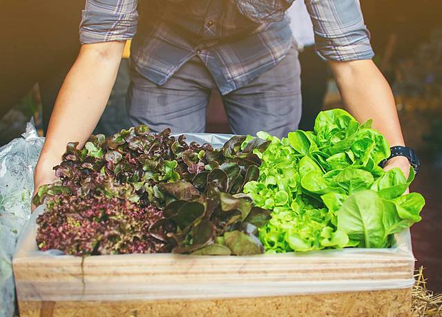 El estado del arte de la agroecología: Revisando avances y desafíos (Altieri)