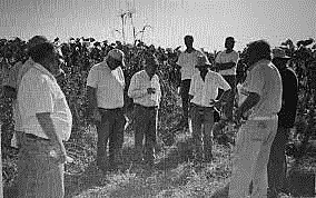 Desarrollo del cuerpo teórico de la sociología agroecológica