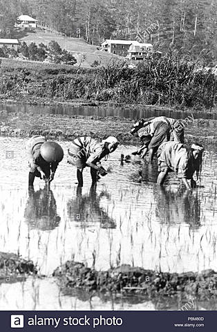 Men work post- colonization