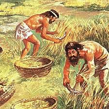 9000 BCE, Neolítico