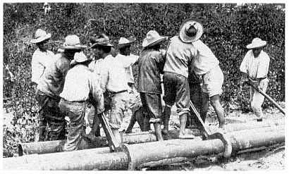 Llegan a Mexico compañías Petroleras