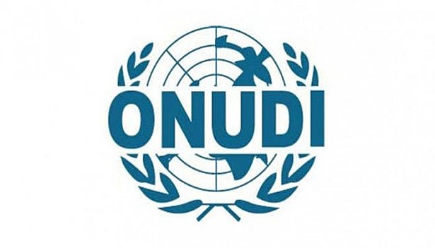ONUDI