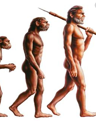 EVOLUTIVA - ¿Cómo llegaron los humanos a ser como son en la actualidad?”