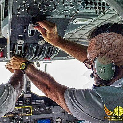 Timeline: David Guzman Raya Psicologia Aeronautica