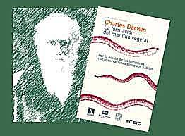 Enferma y su última obra