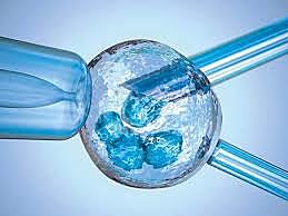 Experimentos genéticos