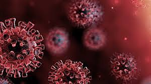 COVID-19 (Corona Virus)