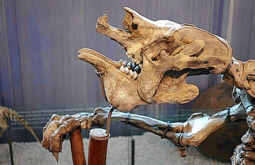 Primeros descubrimientos