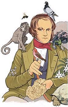 Diez años de estudio