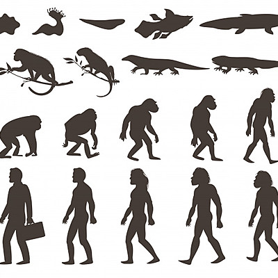 Timeline: Del fixisme a l'evolucionsime