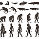 Conjunto siluetas evolucion humana darwin 1284 25536