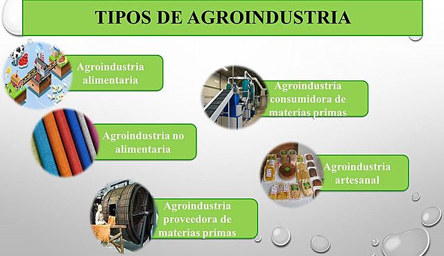 CLASIFICACIÓN DE LA AGROINDUSTRIA