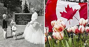 libration of netherlands