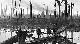 Timeline: World War 1