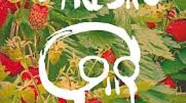 Timeline: campos de fresas