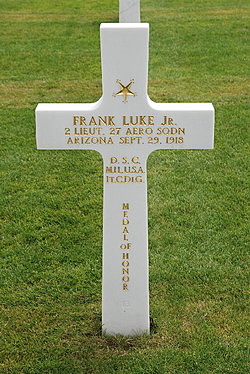 The Disappearance and Death of Luke Jr. Frank