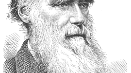 Timeline: La teoría de la Evolución de Darwin