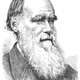 Psm v21 d154 charles darwin
