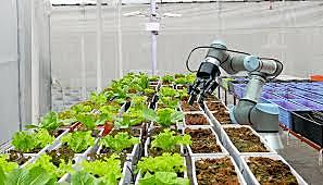 EJEMPLOS DE LA EVOLUCION TECNOLOGICA EN LA AGRO INDUSTRIA