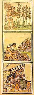 Se emplean nuevos sistemas