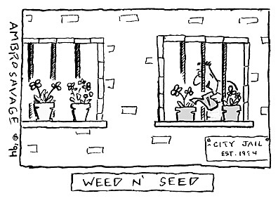 Central District Protests Weed & Seed Plans