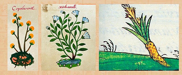 HIGIENE EN MESOAMERICA