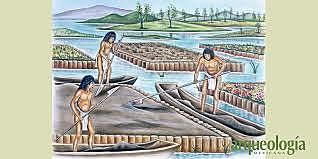 Aumenta la población