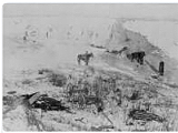 Wounded Knee Massacre