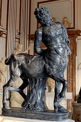 Centauro anziano en bigio morato