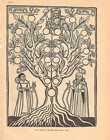 Arbre de la ciència - Ramon Llull