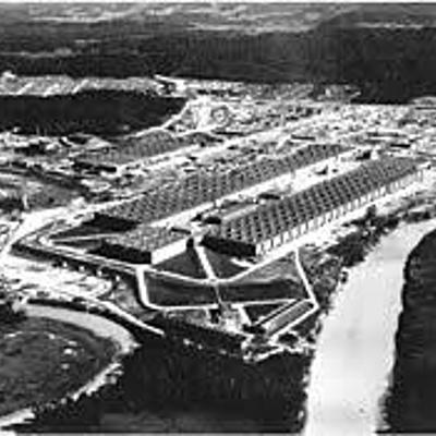 Timeline: Trinity Timeline