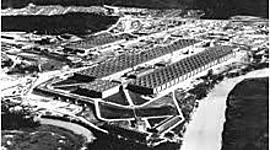 Timeline: Trinity Timeline