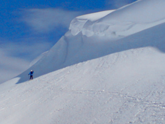 went to aspen to go ski.