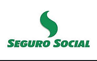 SEGURO SOCIAL