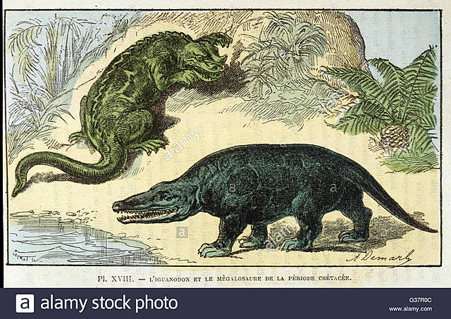 Descubren fósiles de un Iguanodon y um Megalosaurus