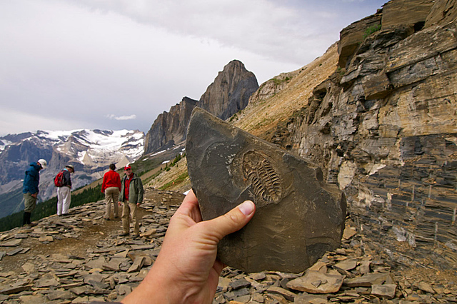 Charles Doolittle descubre el Burgess Shale