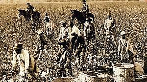 Sharecropping Begins in the South (1865)