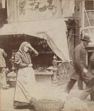 Rise of Industrial America, 1876